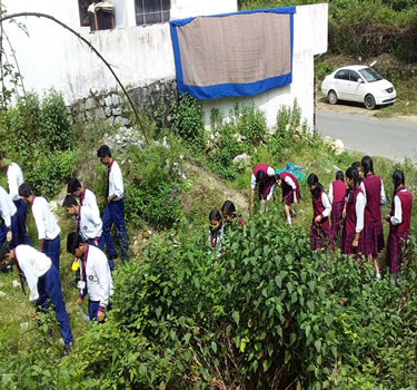 Scout14