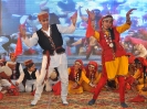 annual-function_6