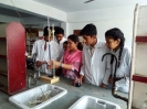 Lab_3